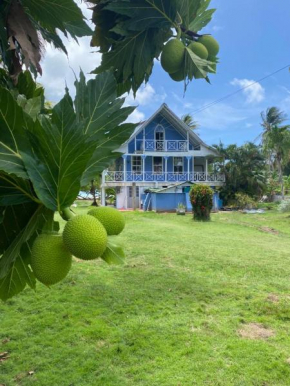 Islander House on Rocky Cay Beach